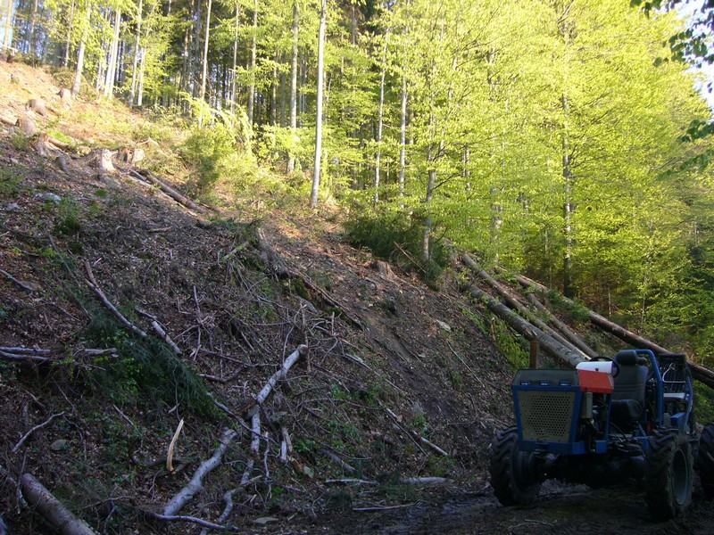 P1110753.JPG