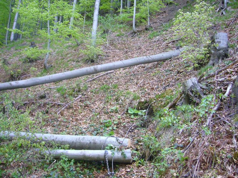 P1110772.JPG