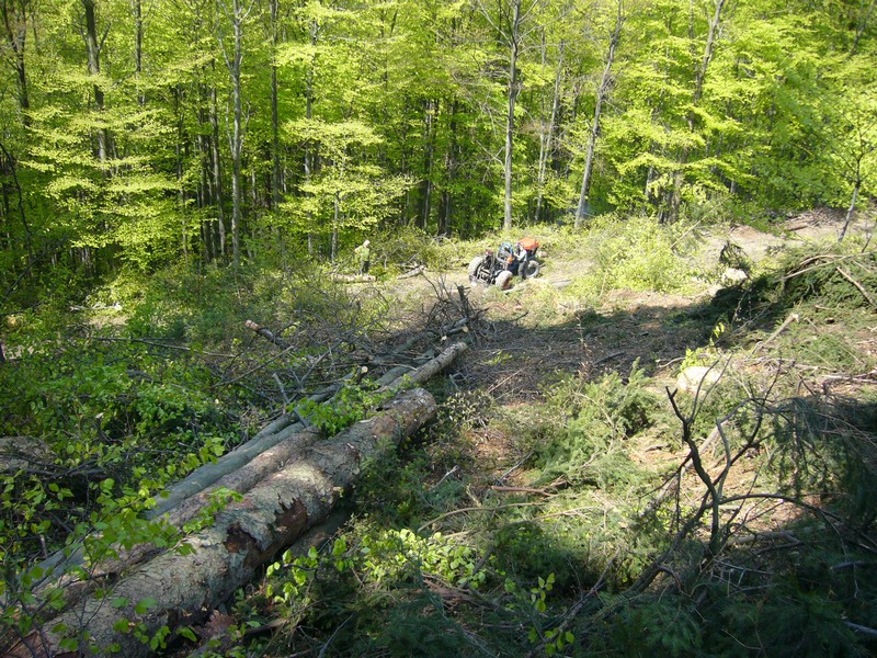 P1110777.JPG