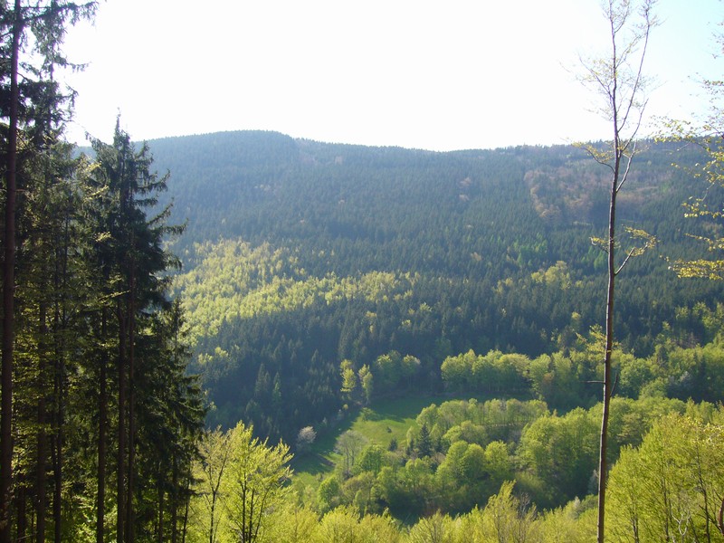 P1110786.JPG